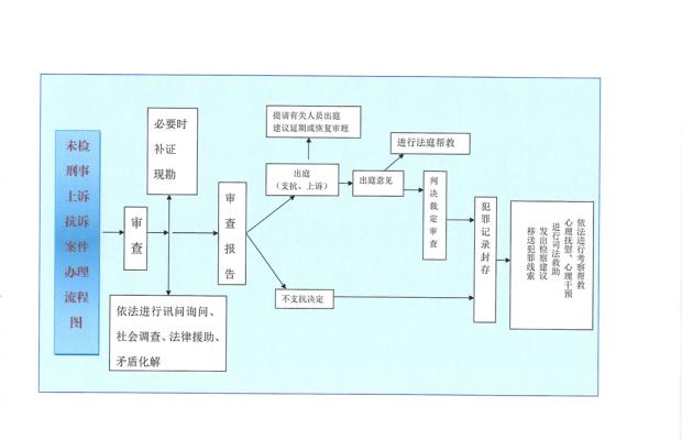 未检刑事上诉抗诉案件办理流程图